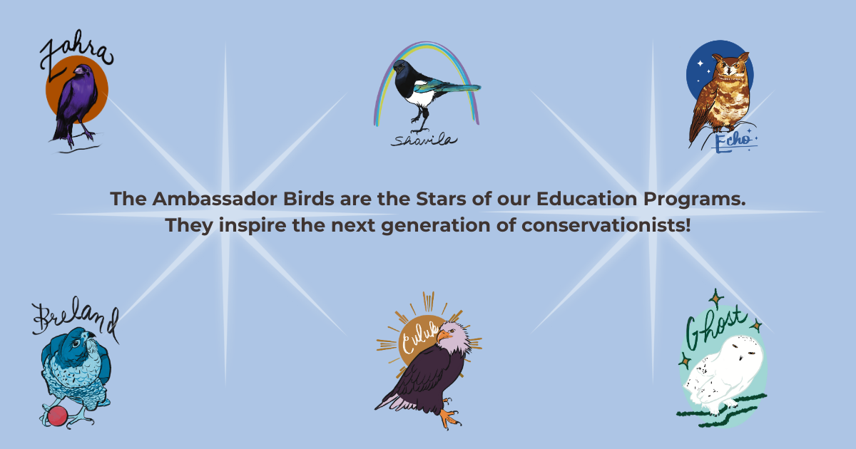 Campaign cover image for Adopt an Ambassador Bird