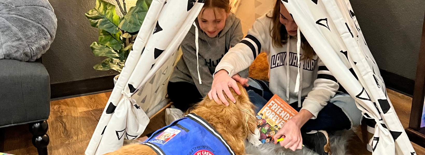 Campaign cover image for Save the Bookshop