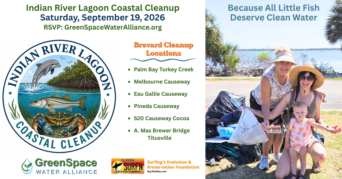 Campaign cover image for Indain River Lagoon Coastal Cleanup
