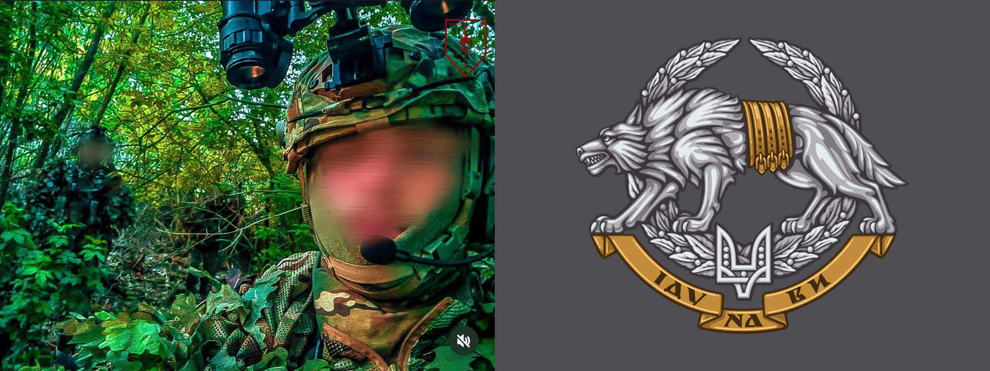 Campaign cover image for Jester