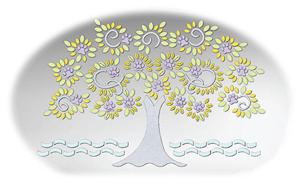 Campaign cover image for Family Tree