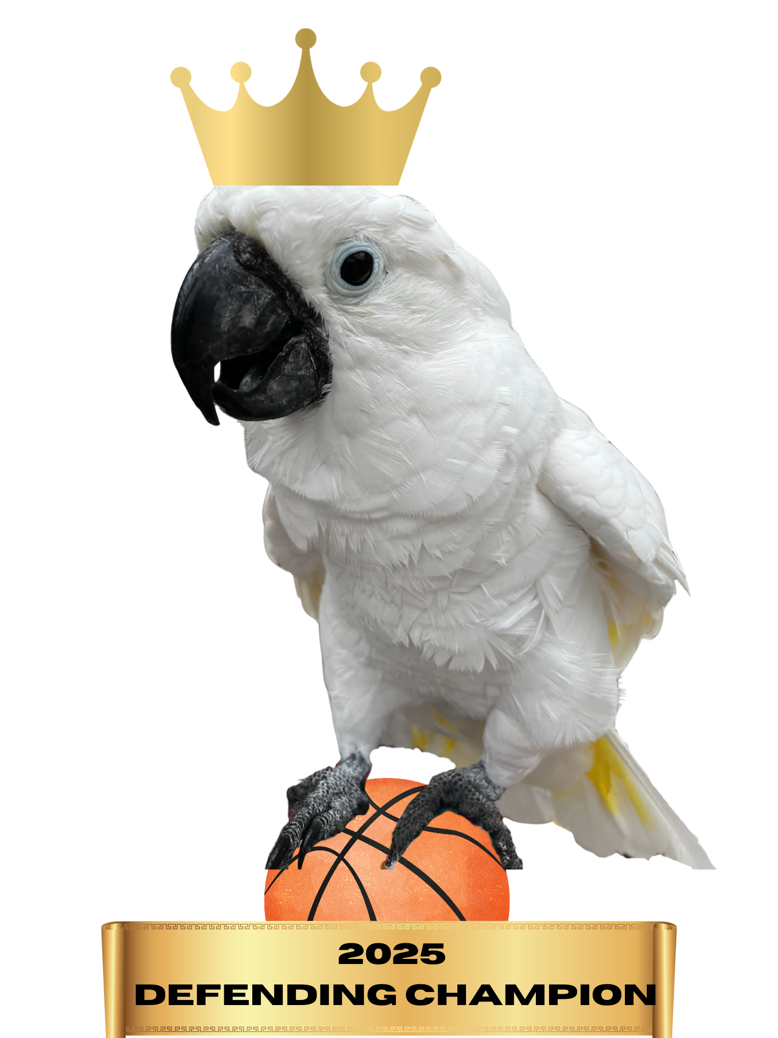 Campaign cover image for Migrate to the Chirp-ionship 2026