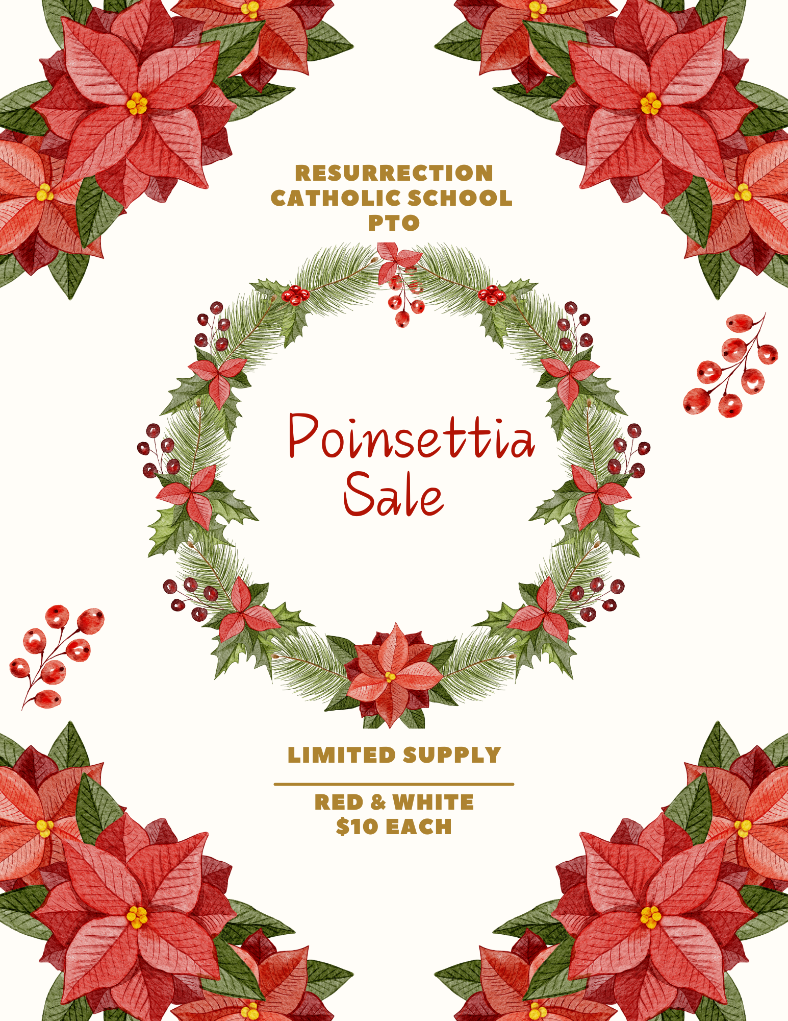 Campaign cover image for Resurrection Catholic School Poinsettia Sale