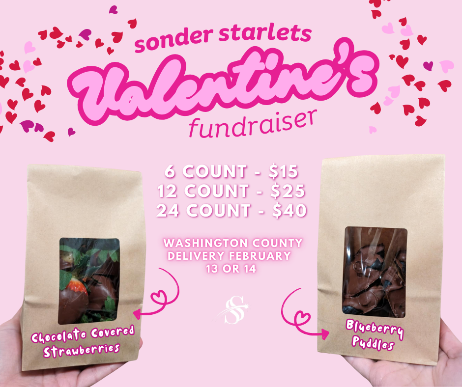 Campaign cover image for Starlets Valentine's Fundraiser