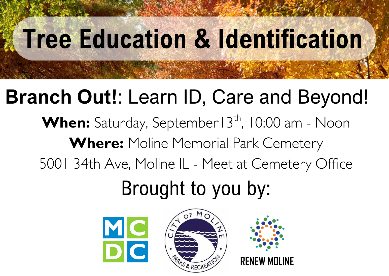 Campaign cover image for Tree Education & Identification Session