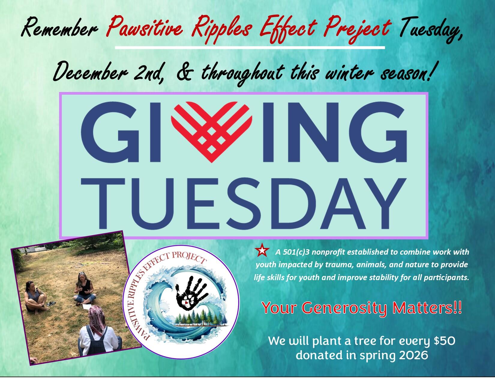 Campaign cover image for Creating Ripples ~ Giving Tuesday & ‘25 Winter Season