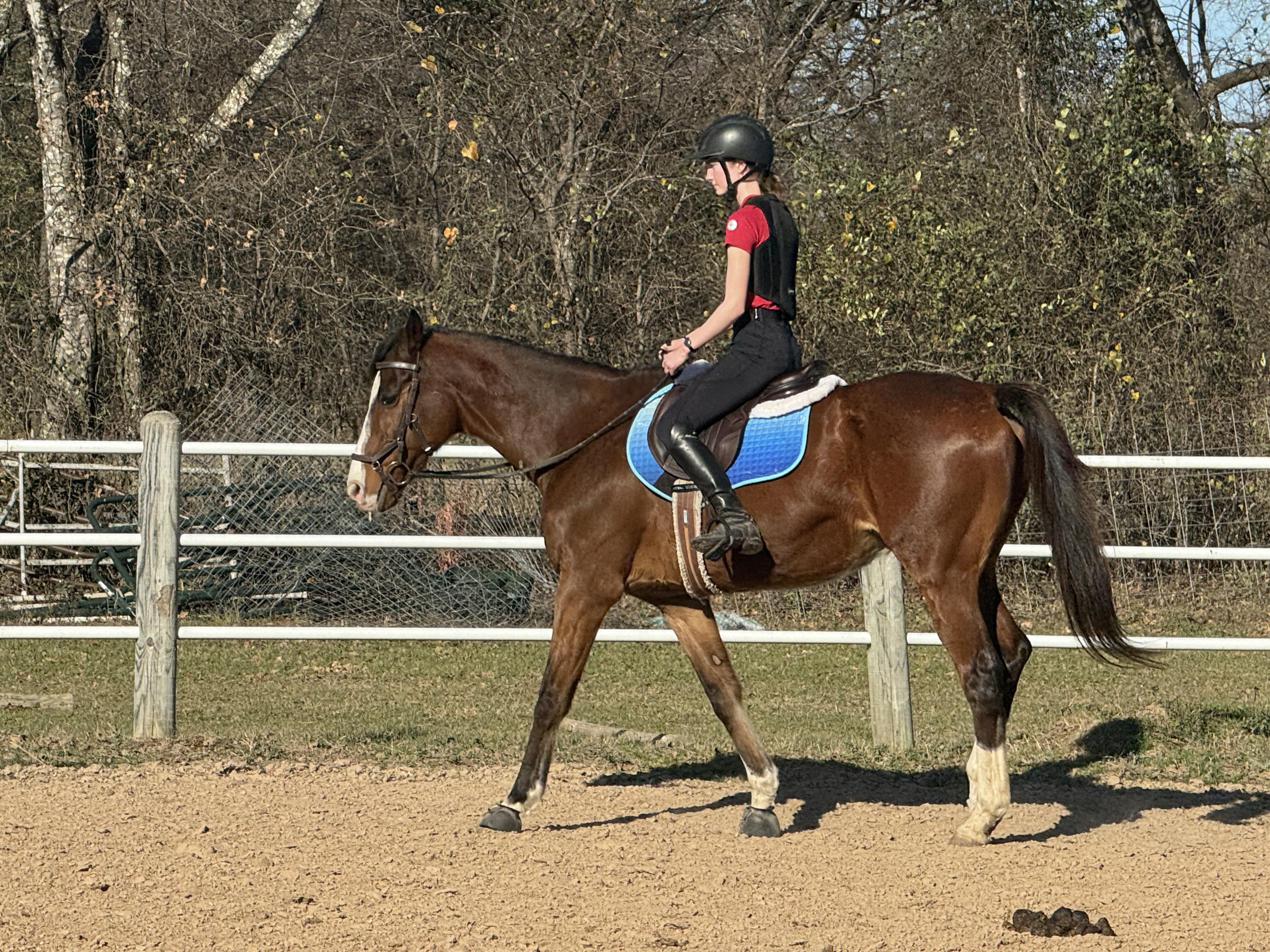 Campaign cover for Sponsor Easy Topper