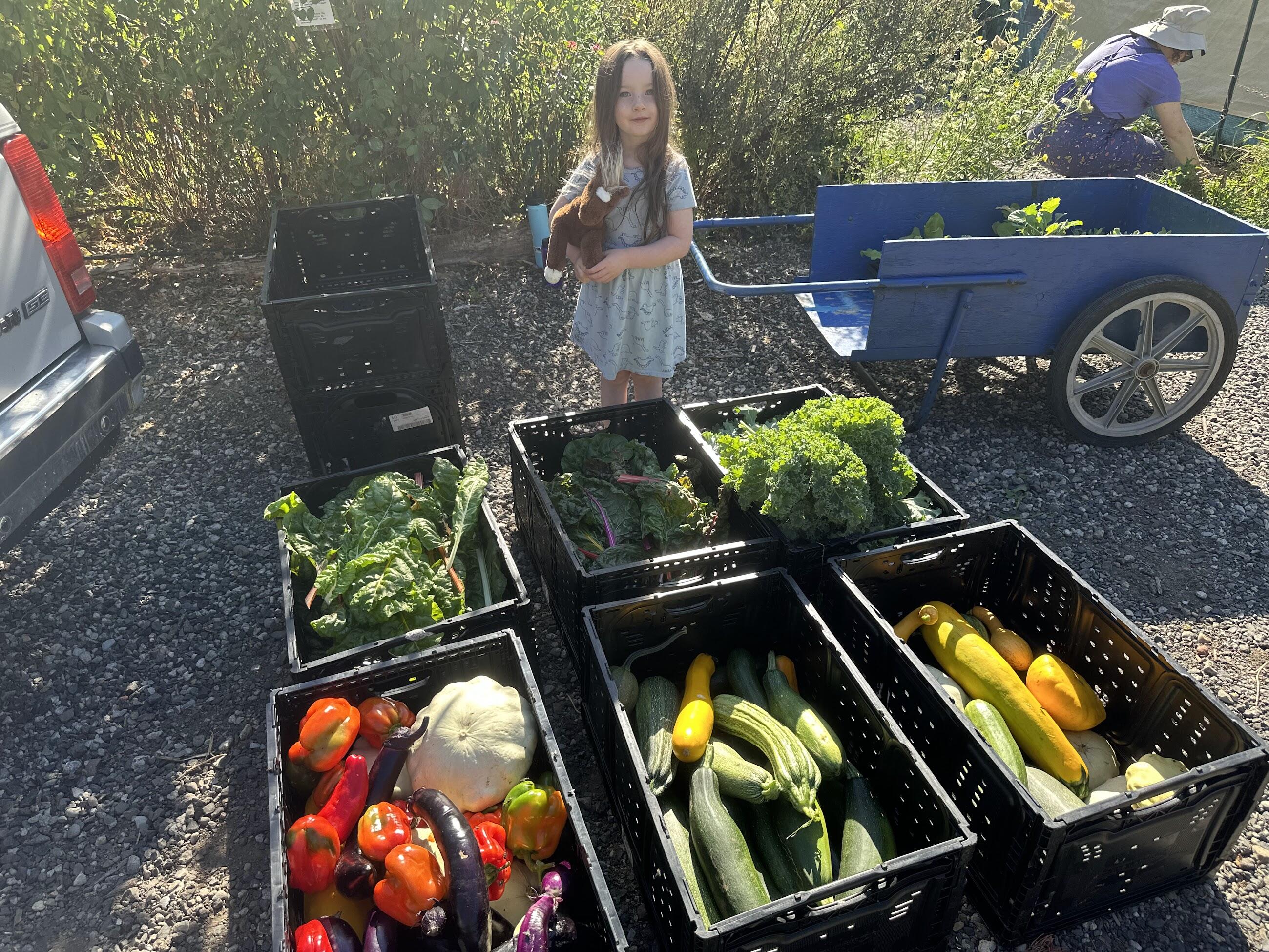 Campaign cover image for Can $10 a month really feed thousands?