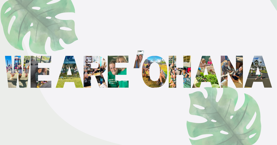 Campaign cover image for The Doc Kaloi Trinity Golf Classic