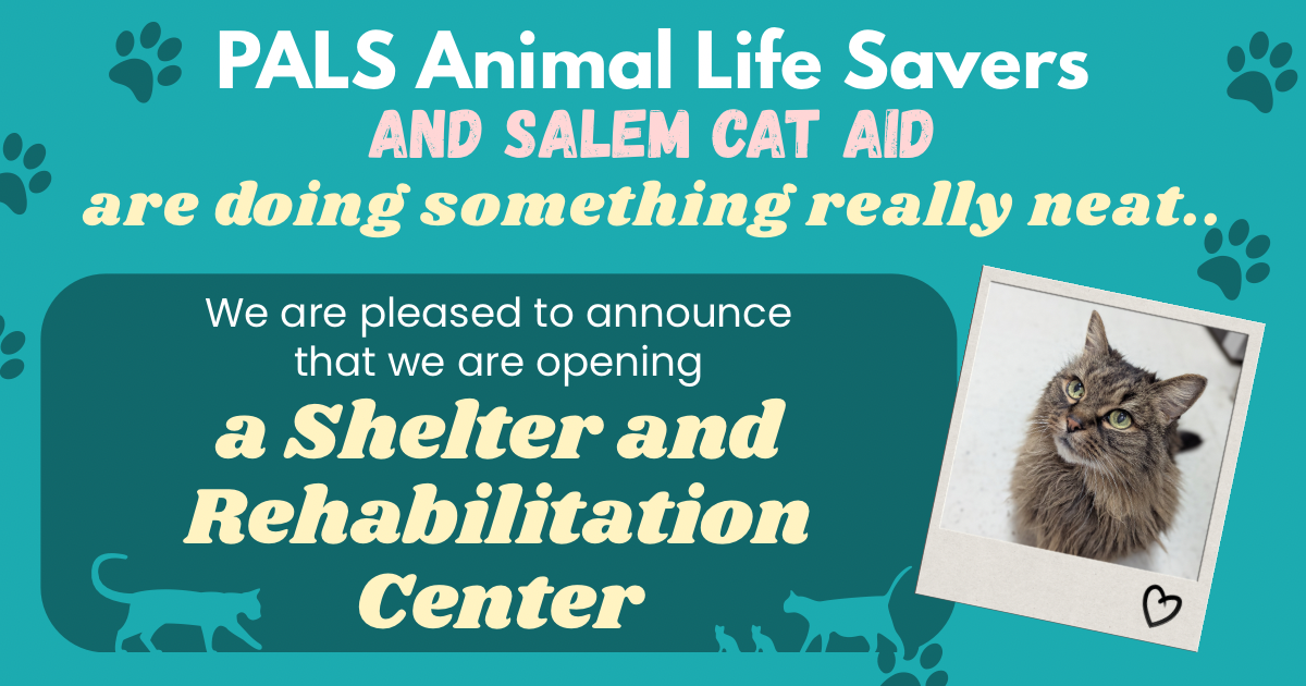 Campaign cover image for Help PALS Animal Life Savers & Salem Cat Aid Open a Shelter!