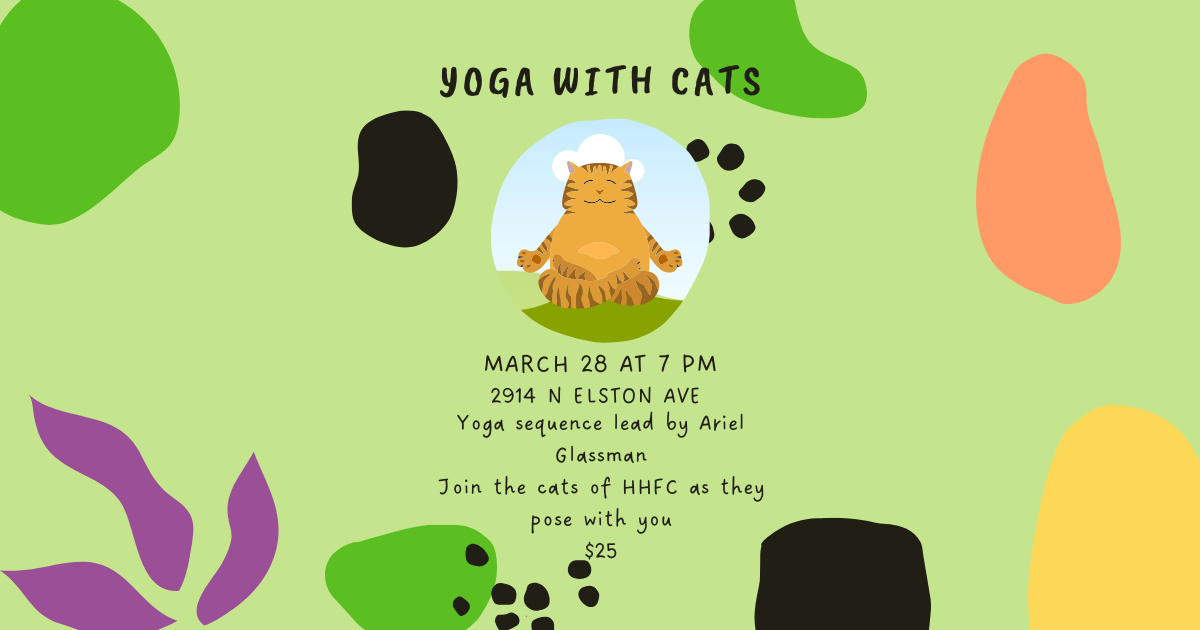 Campaign cover image for Yoga with Cats!