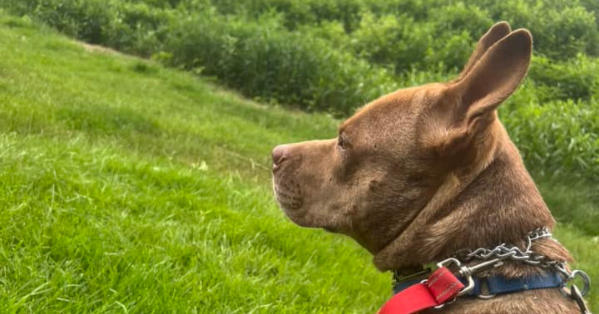 From Homeless to Happily Ever After