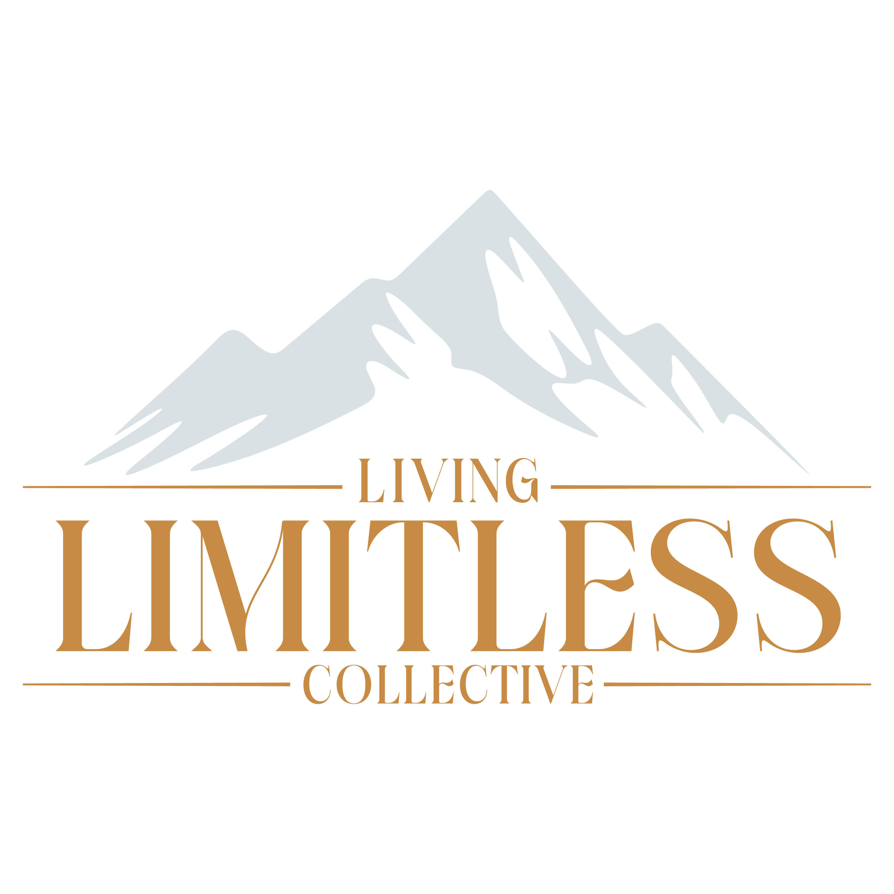 Campaign cover image for LIMITLESS