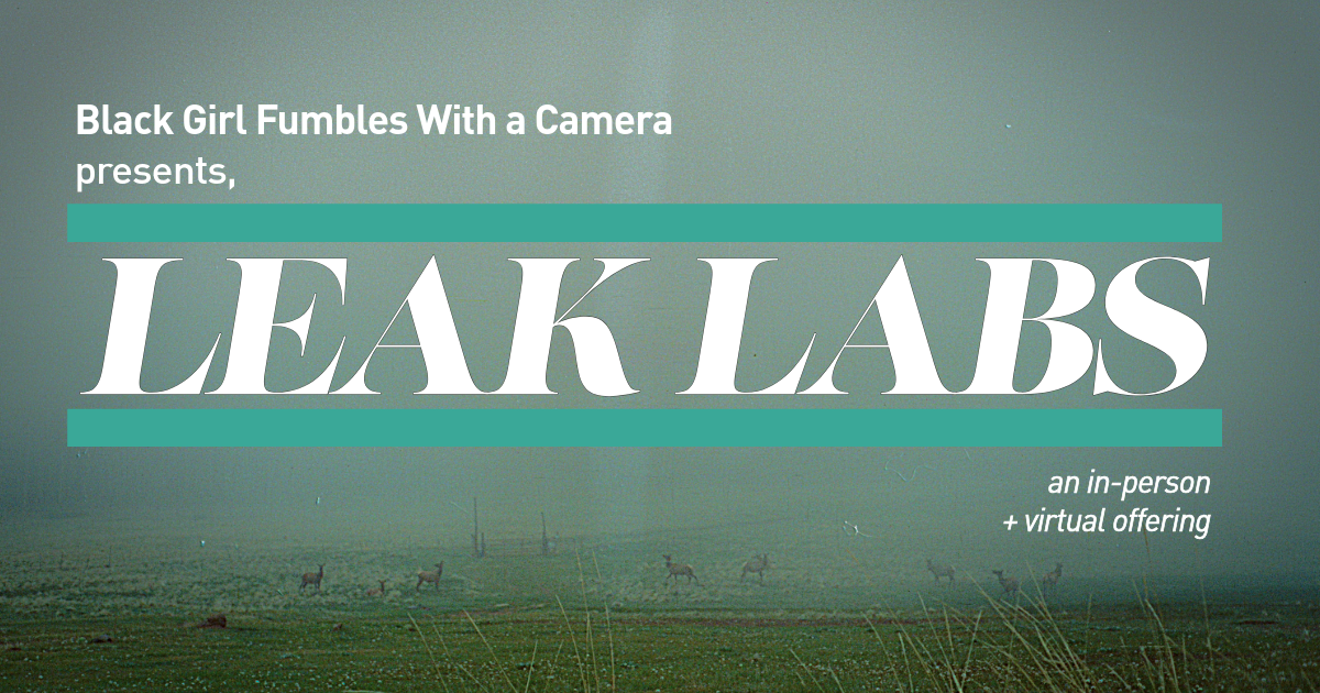Campaign cover image for Black Girl Fumbles With a Camera presents Leak Labs