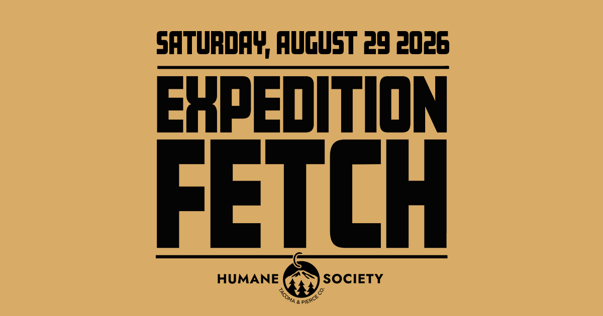 Campaign cover image for Expedition Fetch