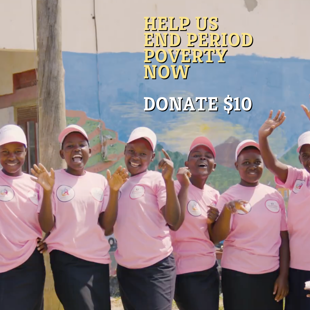 Campaign cover image for Menstrual Dignity Campaign 2025