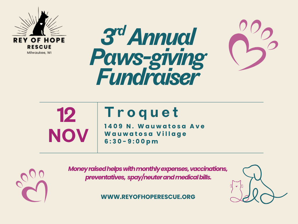Campaign cover image for 3rd Annual Paws-Giving Fundraiser
