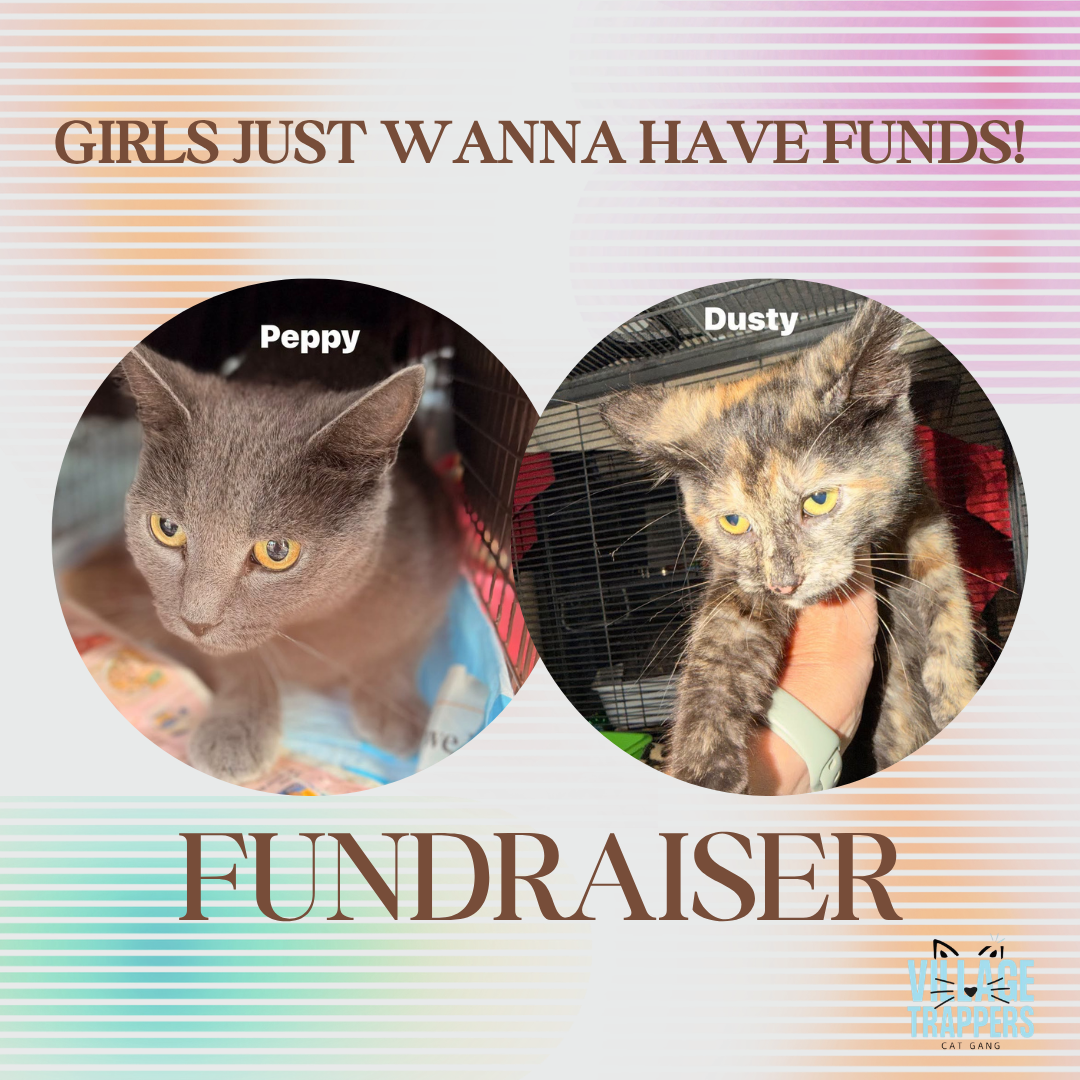 Campaign cover for GIRLS JUST WANNA HAVE FUNDS!