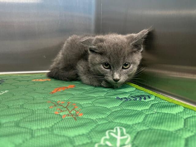 Campaign cover image for Care & Comfort Fund