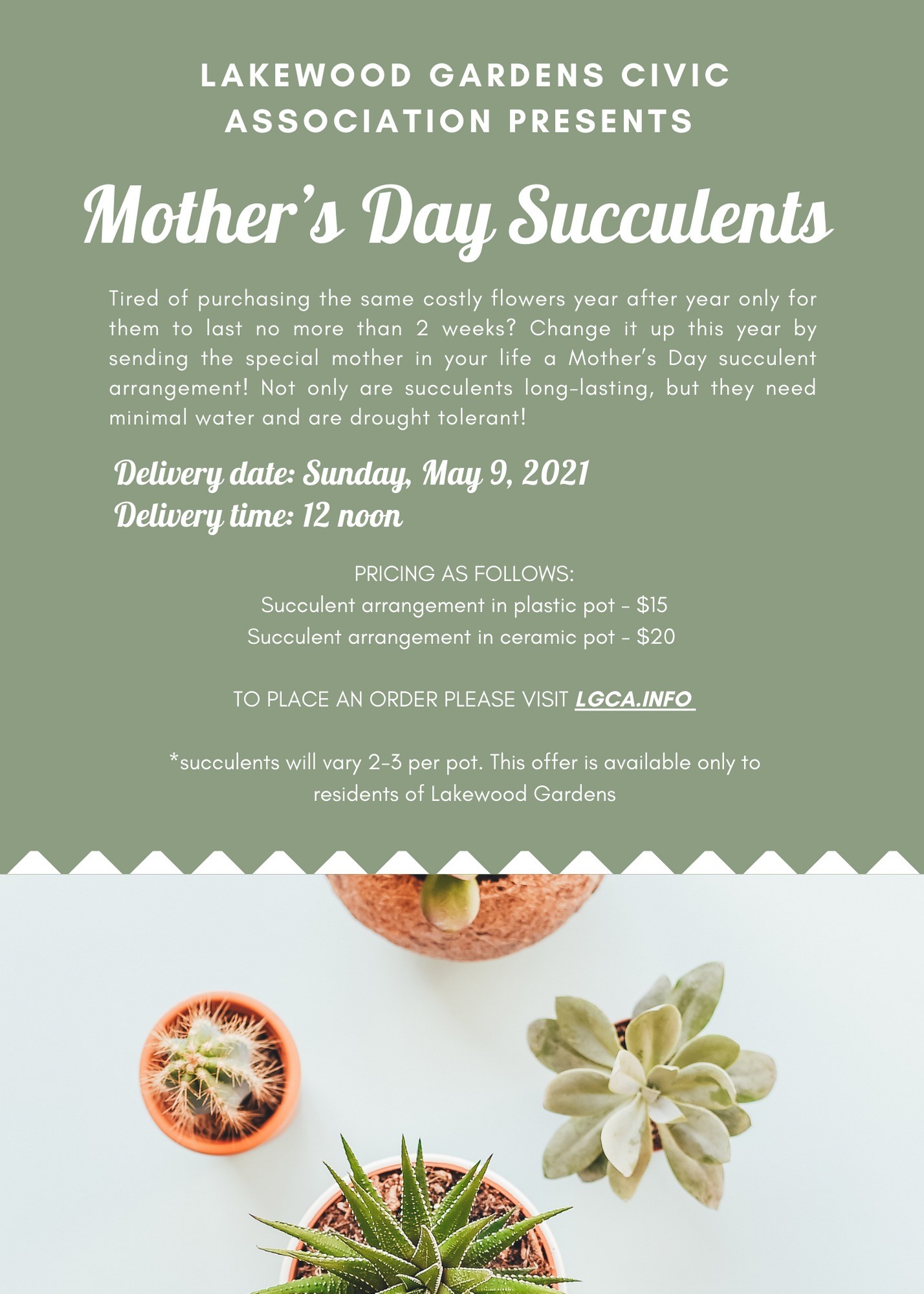 Campaign cover image for Mother's Day Succulents