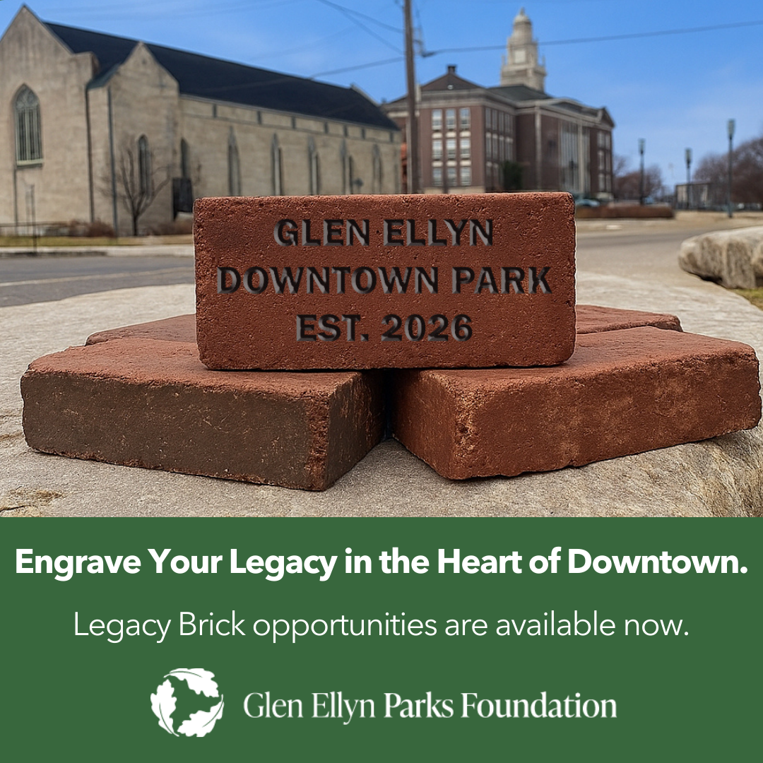 Campaign cover image for Legacy Bricks