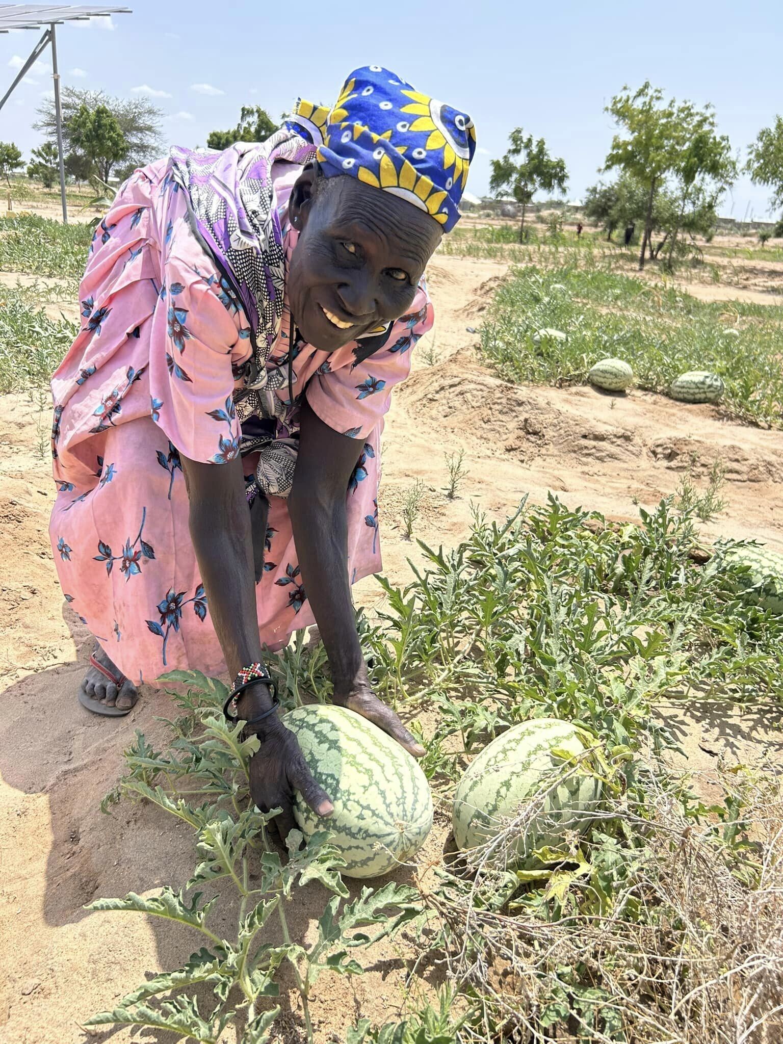 Campaign cover image for Servant Forge Resilience Fund