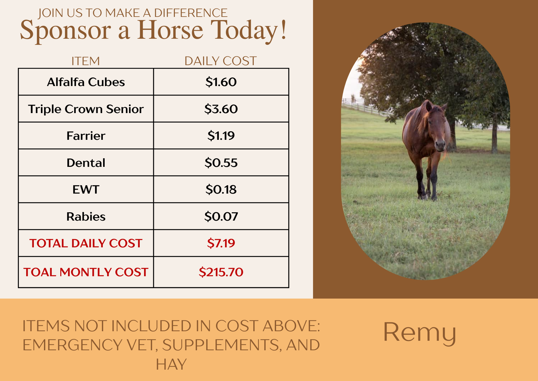 Campaign cover image for Remy Sponsorship