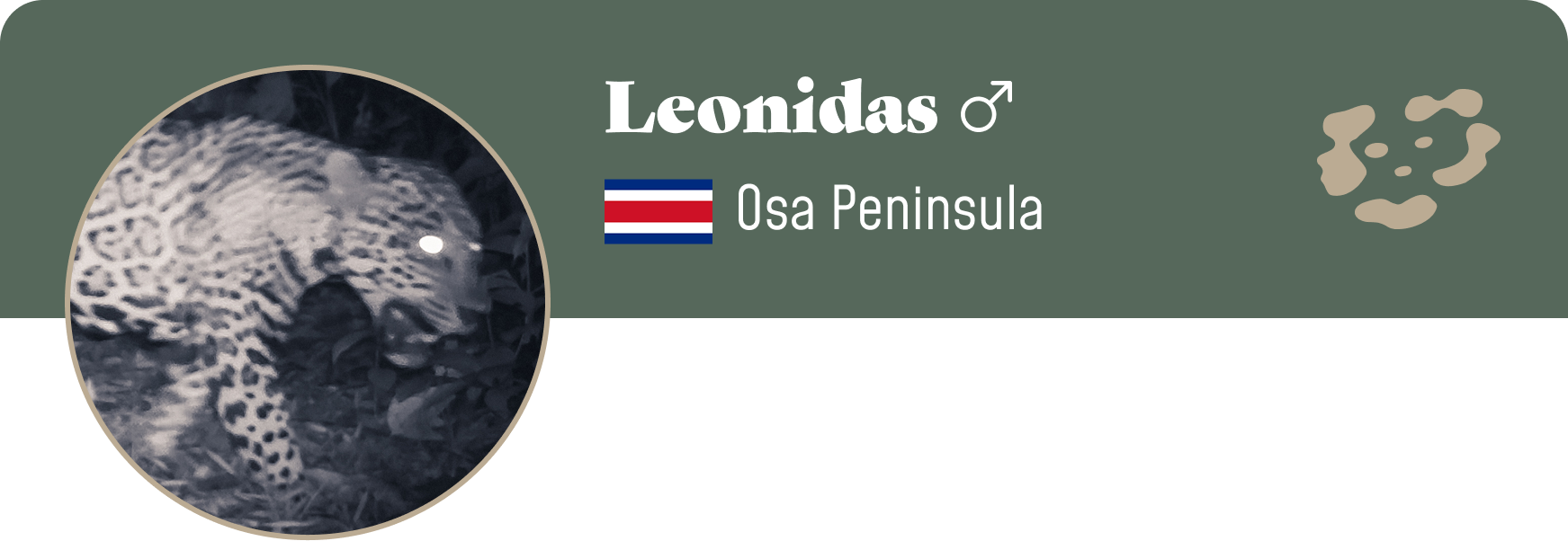 Campaign cover image for Adopt Leonidas