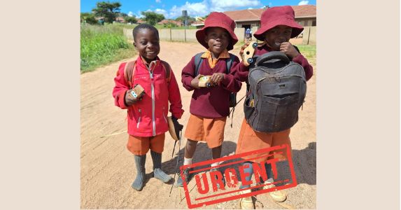 Campaign cover image for Urgent Help!