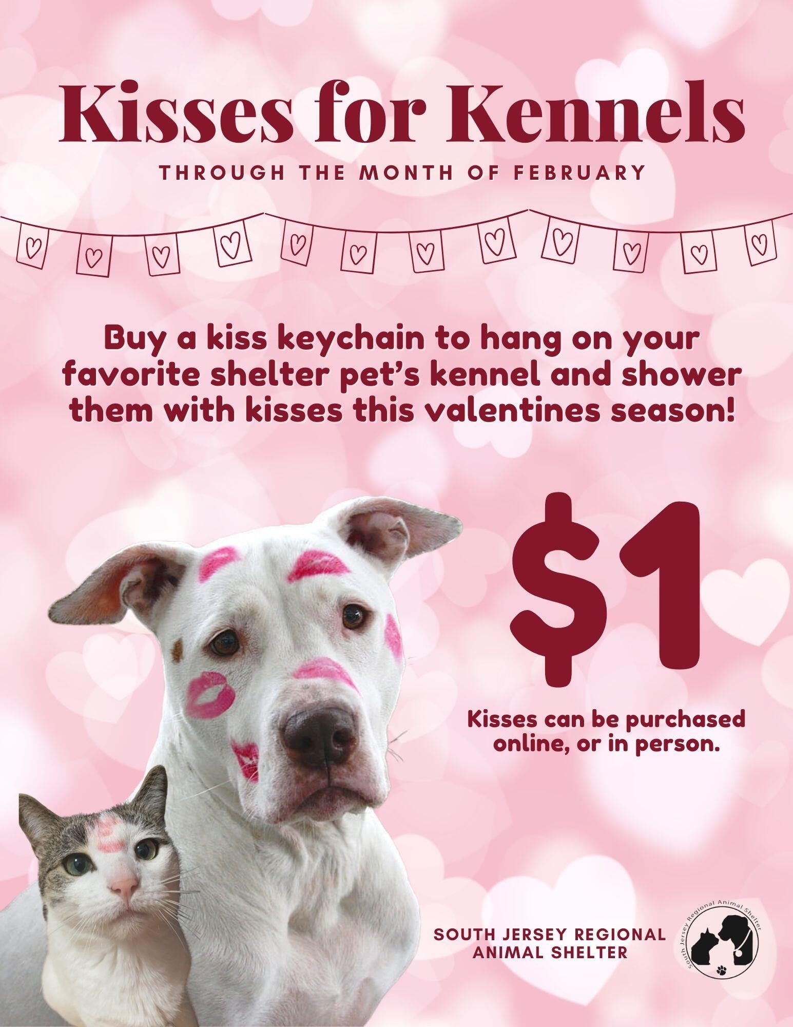 Campaign cover image for Kisses for Kennels