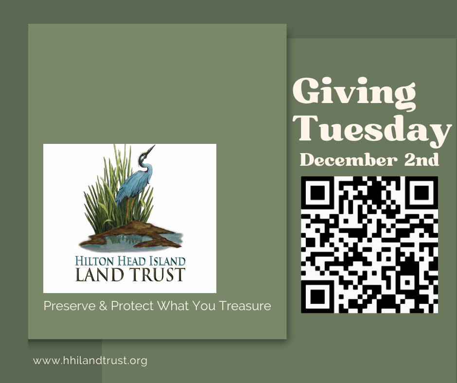 Campaign cover image for Giving Tuesday