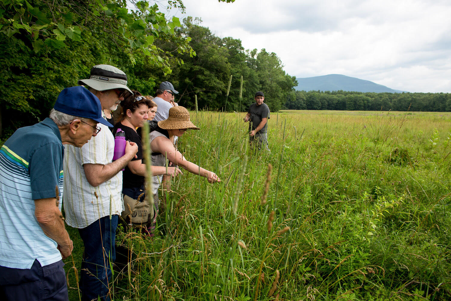Campaign cover image for Wild Edible Foraging and Tasting Class at Thorn Preserve