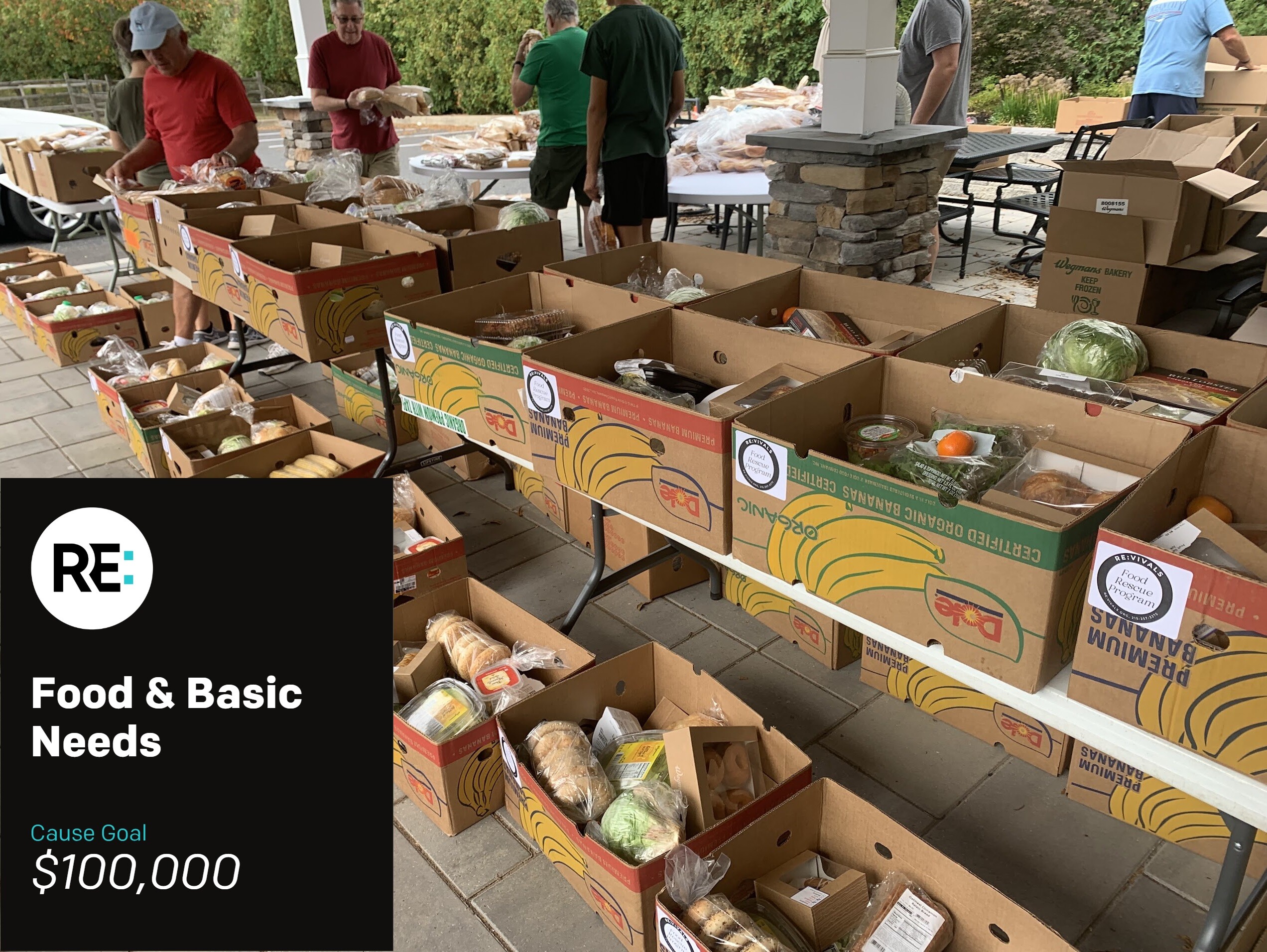 Campaign cover image for Food & Basic Needs