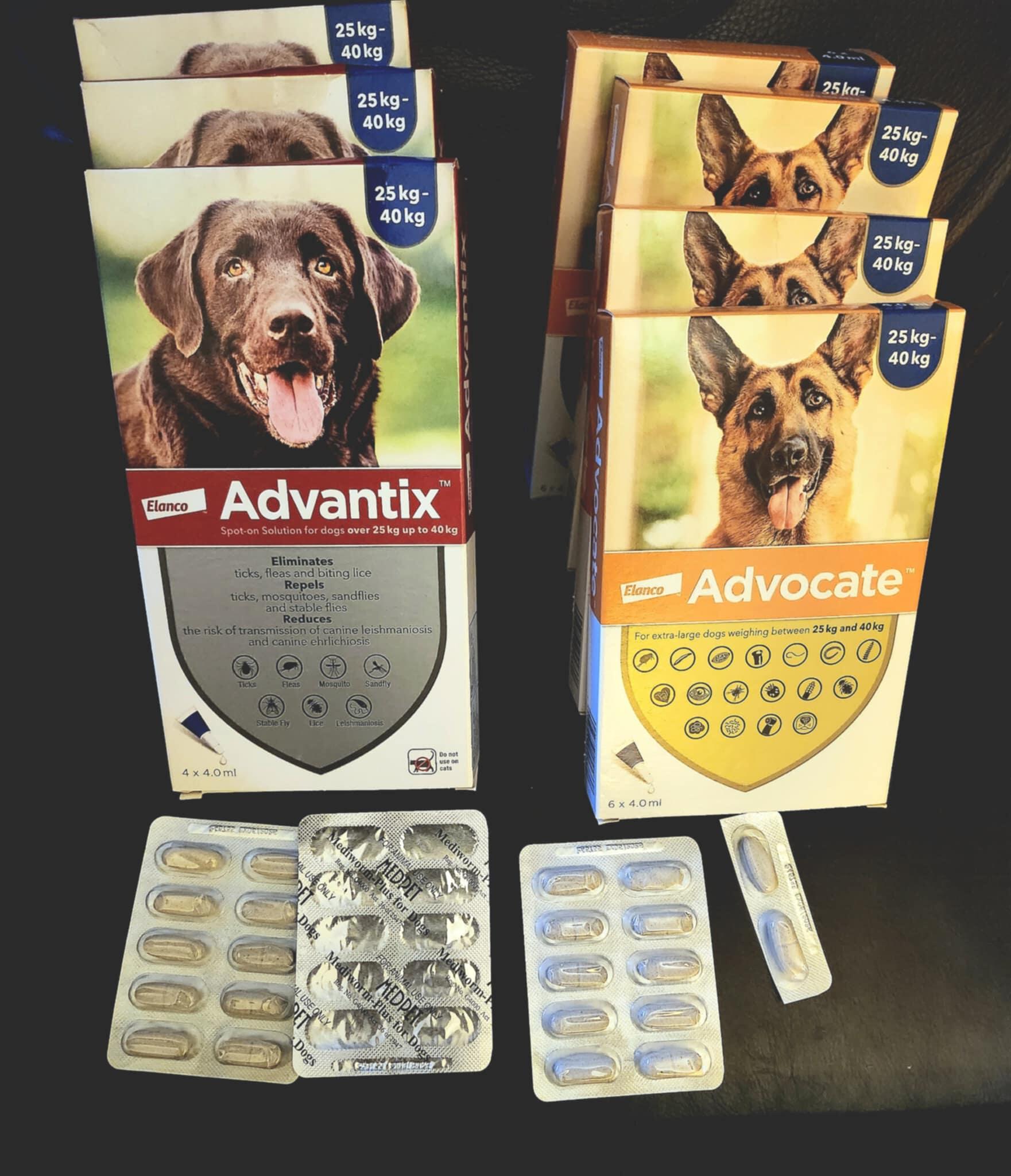 Campaign cover image for Second Start Rescue: Preventatives & Dewormer For Our Pups