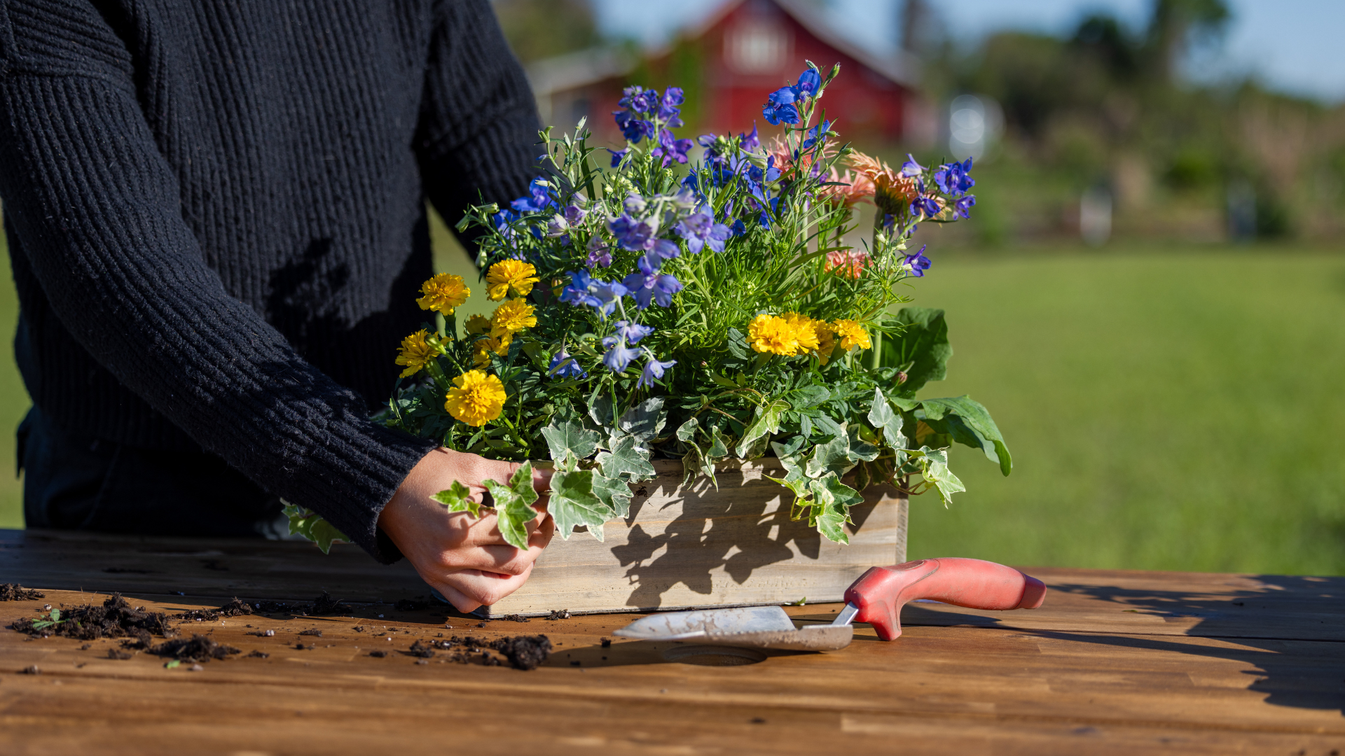 Campaign cover image for Spring Garden Box Workshop