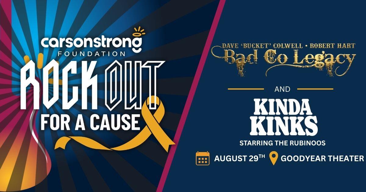 Campaign cover image for Rock Out For A Cause Concert