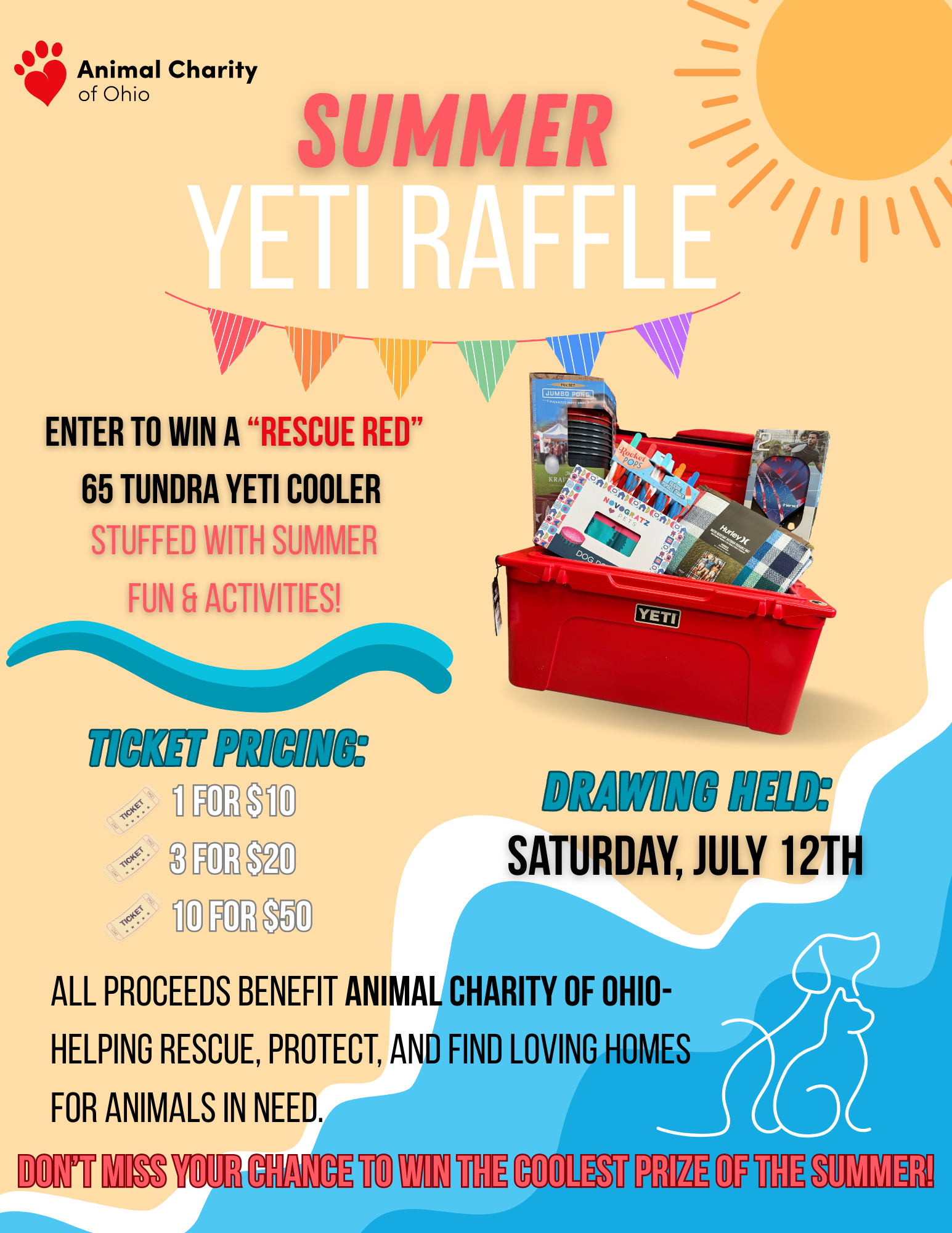 Campaign cover image for Summer Yeti Raffle