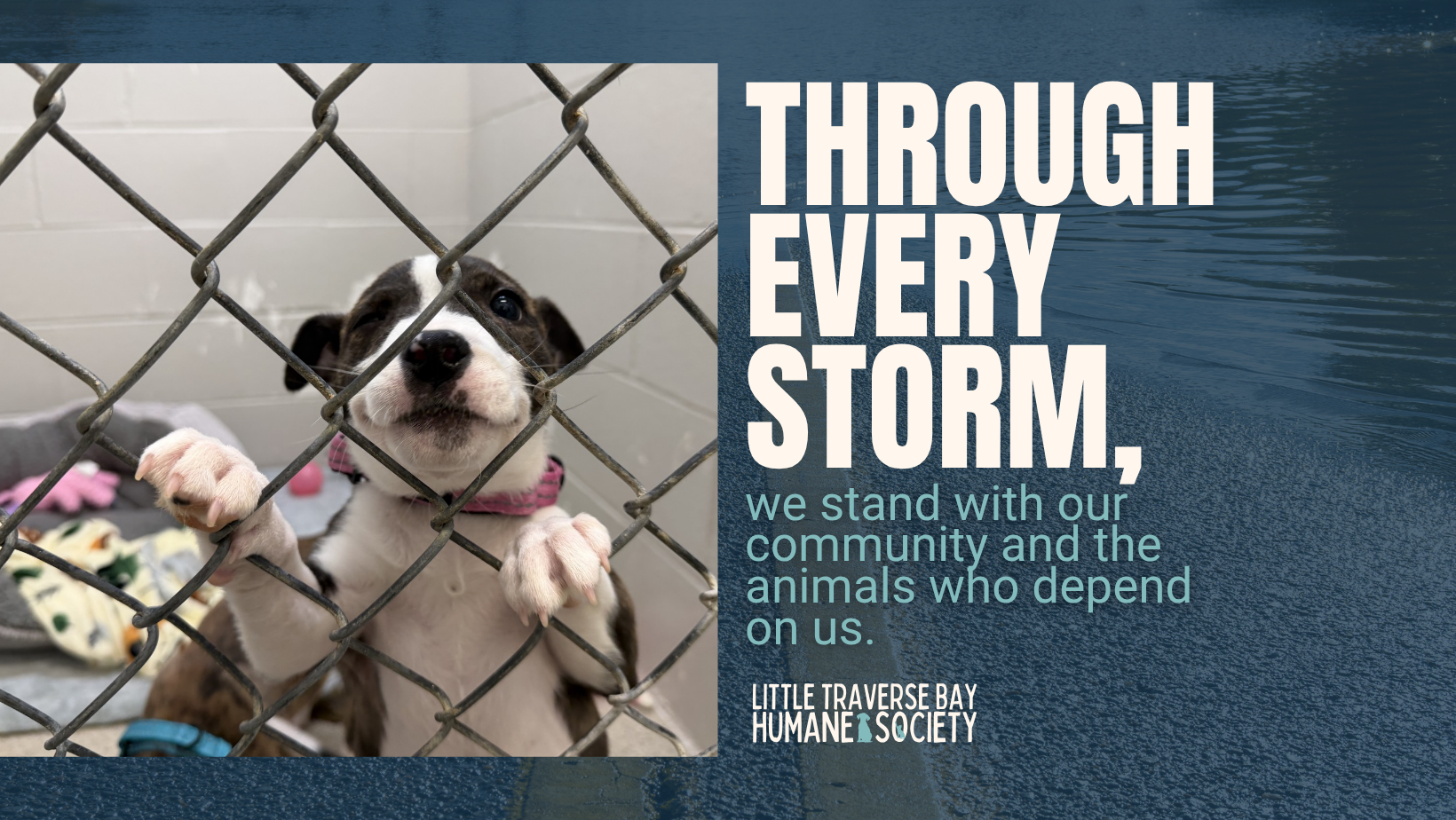 Campaign cover for LTBHS/CCHS Mutual Aid