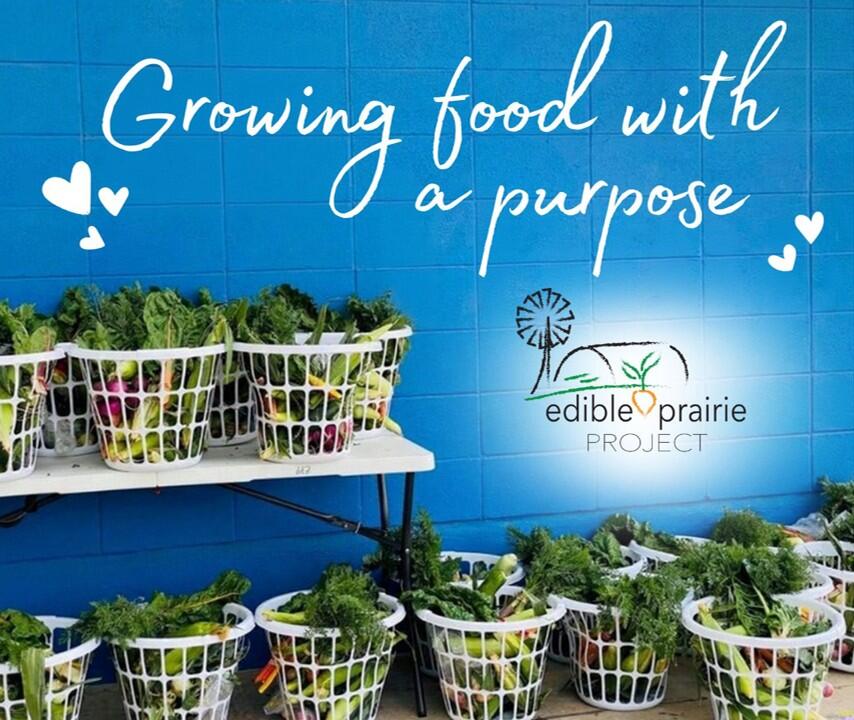 Campaign cover image for Veggie Baskets 2025