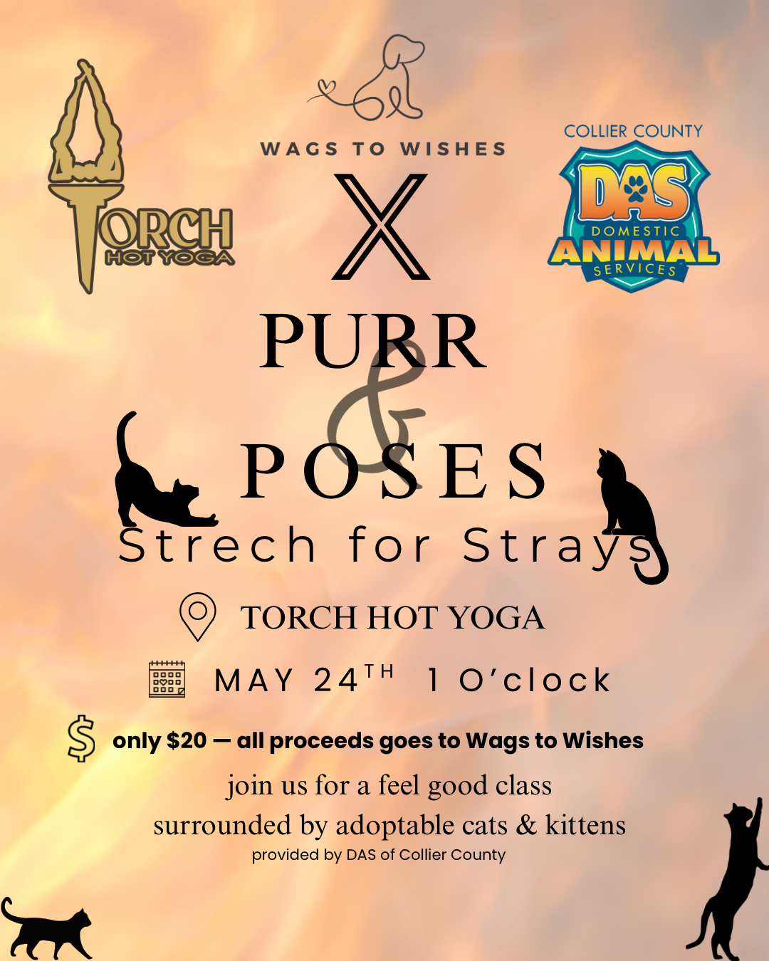 Campaign cover image for WAGS TO WISHES X TORCH HOT YOGA