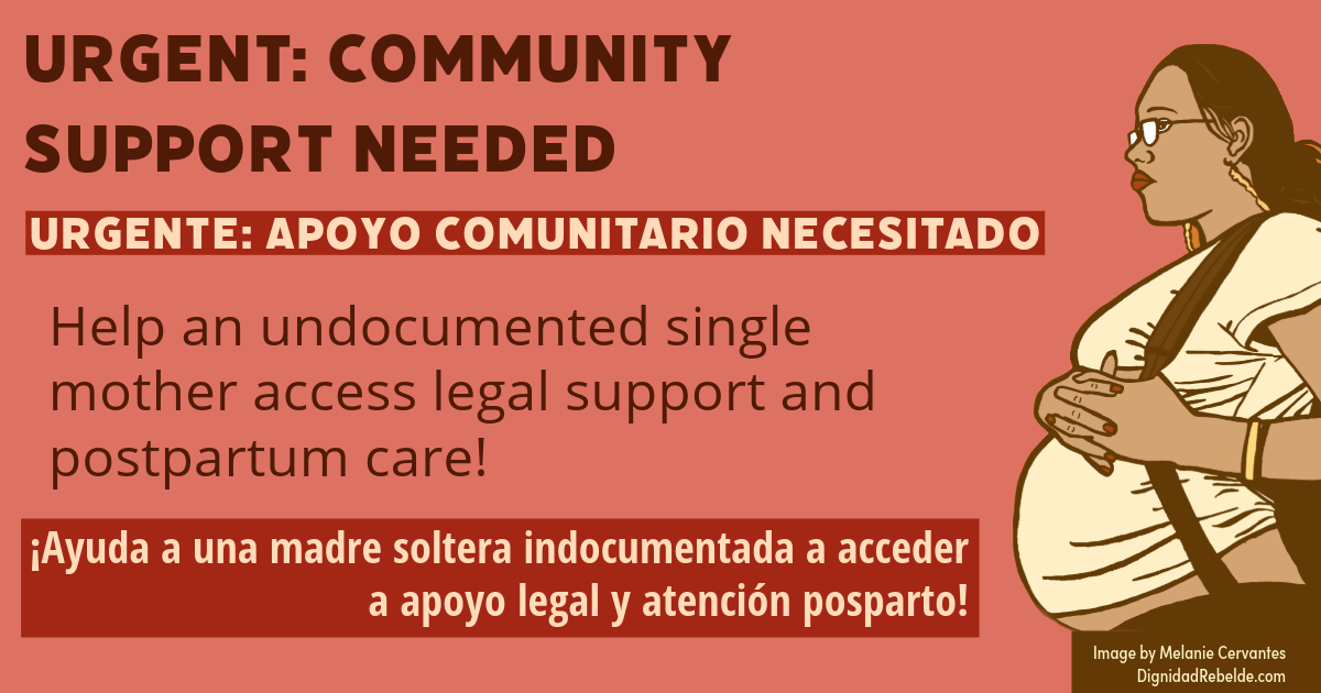 Campaign cover image for Support an undocumented single mother access legal support and postnatal care!
