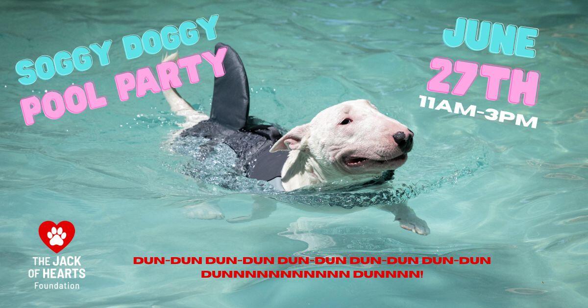 Campaign cover image for Pool Party and Shenanigans Extravaganza # 3