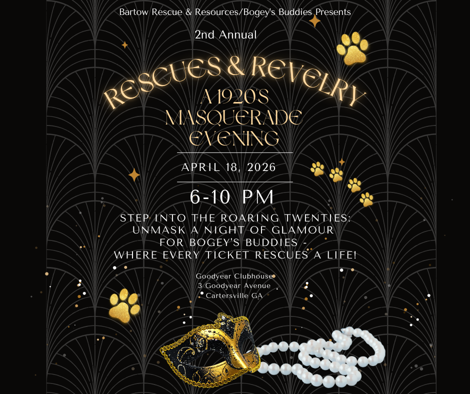 Campaign cover image for 2nd Annual Rescues & Revelry: A 1920s Masquerade Evening