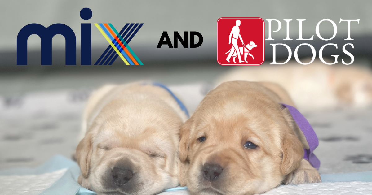 Campaign cover image for MIX Talent & Pilot Dogs