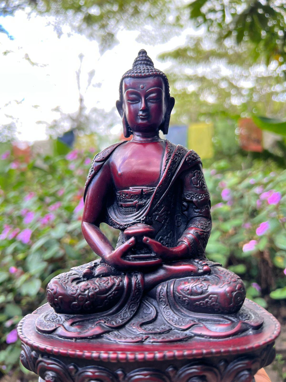 Campaign cover image for Dedicate an Amitabha Statue at Dewachen