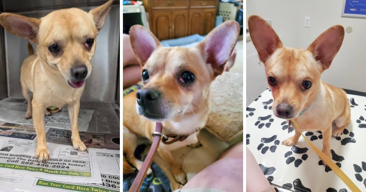 Campaign cover image for Chico's Medical Fundraiser