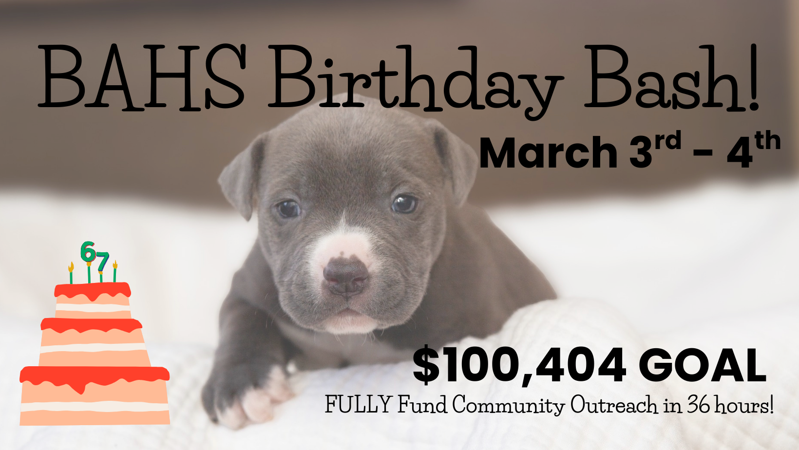 Campaign cover image for BAHS Birthday Bash!