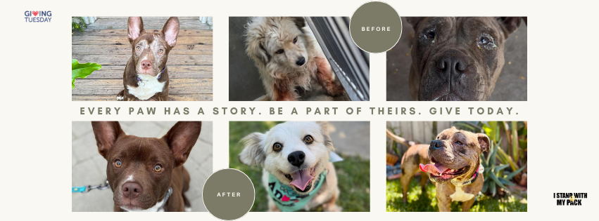 Campaign cover image for Pack the Love