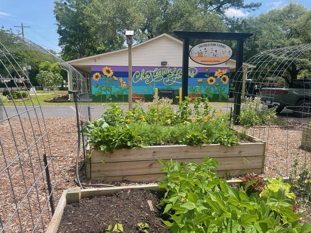 Campaign cover image for Charleston Farms Community Garden