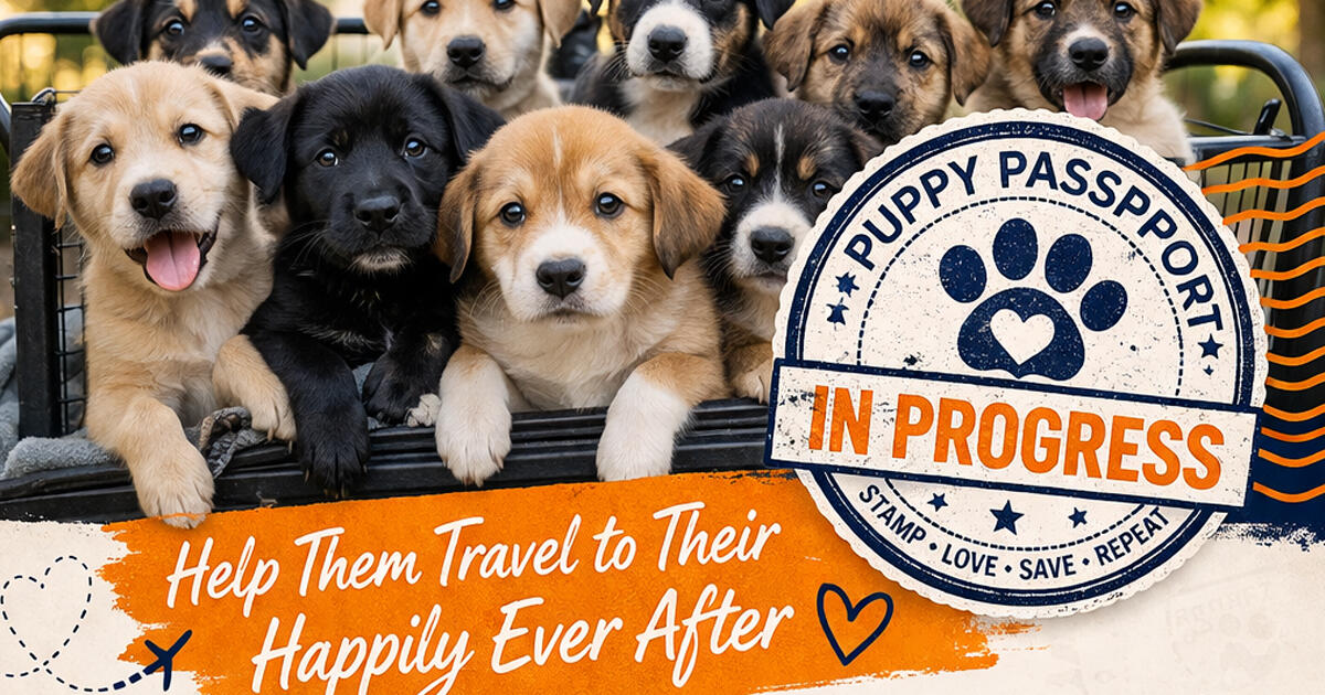 Campaign cover image for PUPPY PASSPORT
